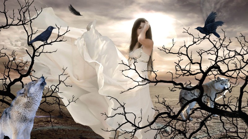 Wolves and Ravens